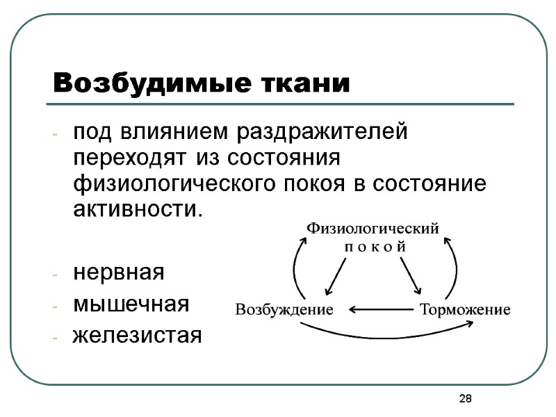 28 Возбудимые ткани под влиянием раздражителей переходят из состояния физиологического покоя в состояние активности.